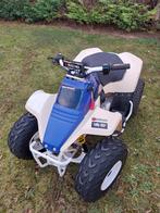Suzuki LT80, Motos, Quads & Trikes
