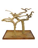 Arbre Java Double en bois de caféiers Perchoir perroquet, Verzenden, Nieuw, Overige typen
