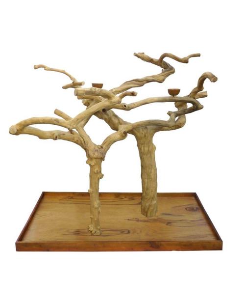 Arbre Java Double en bois de caféiers Perchoir perroquet, Dieren en Toebehoren, Vogels | Toebehoren, Nieuw, Overige typen, Verzenden