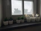 Plantjes en orchideeën, Ophalen