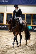 Gemotiveerde ruiter gezocht, Dieren en Toebehoren, Paarden