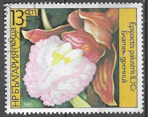 Bulgarije 1986 - Yvert 2988 - Moeraswespenorchis (ST), Postzegels en Munten, Postzegels | Europa | Overig, Gestempeld, Bulgarije
