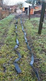 Beoband 50m, Pâturage, 1 cheval ou poney