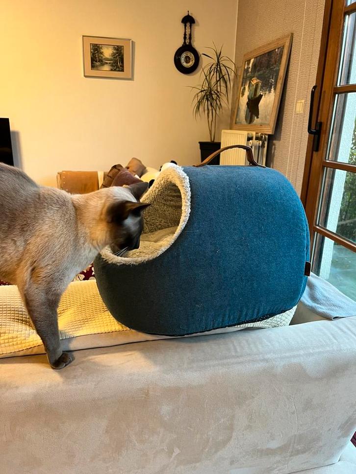 Trixie, Abri Tonio Home Vital chats ou petit chien, Animaux & Accessoires, Accessoires pour chats, Comme neuf, Enlèvement