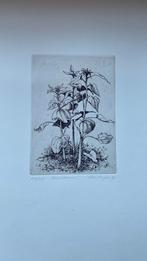 Museale ets zonnebloem, Ophalen