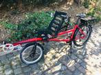 E-Tandem hase pino tandem ligfiets te koop., Fietsen en Brommers, Ophalen of Verzenden, Gebruikt