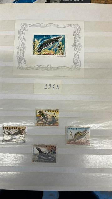 Postzegels België 1965-1966-1967 beschikbaar voor biedingen