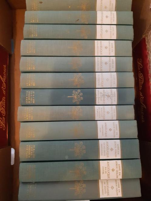 12 delige historische avonturenroman Angèlique, Boeken, Historische romans, Gelezen, Ophalen