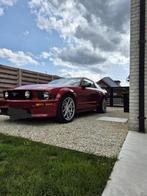 Lichte vracht mustang GT/CS 4.8L, Auto's, Achterwielaandrijving, 8 cilinders, Leder, Handgeschakeld