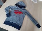 Grijze sweater Superstar, Trui of Vest, Ophalen of Verzenden, Zo goed als nieuw, Superstar