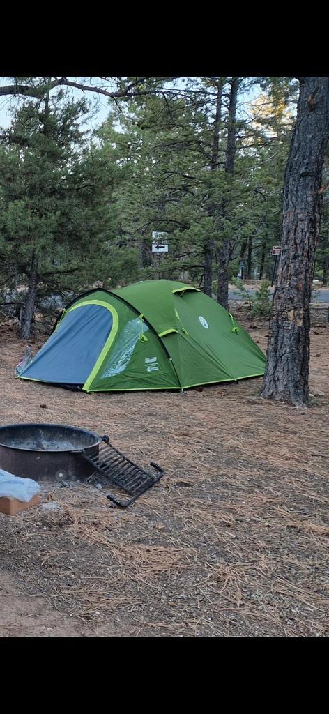 Tent Coleman Darwin 3+ Blackout, Caravans en Kamperen, Tenten, tot en met 3, Zo goed als nieuw, Ophalen of Verzenden