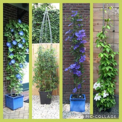 Plantensteun Zelfkweken Kweekpotten Kwekerij klimrekken, Tuin en Terras, Kweekspullen, Nieuw, Ophalen of Verzenden