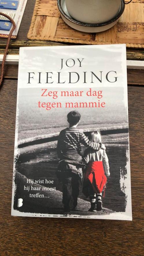 Joy Fielding - Zeg maar dag tegen mammie, Boeken, Thrillers, Zo goed als nieuw, Ophalen of Verzenden