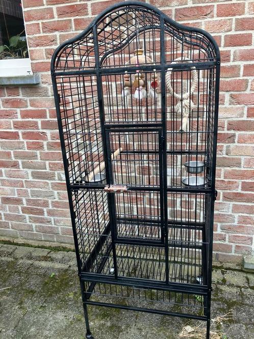 PAPEGAAIENKOOI MET OPEN DAK EN TOEBEHOREN NU 150 EURO, Dieren en Toebehoren, Vogels | Hokken en Kooien, Zo goed als nieuw, Volière