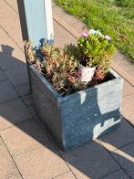 Bloempot ten, Tuin en Terras, Bloempotten, Ophalen, Gebruikt, Kunststof