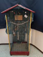 Vogelkooi met 2 dwergpapegaaien, Dieren en Toebehoren, Ophalen, Gebruikt, Metaal, Vogelkooi