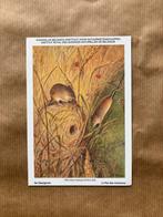 Zoogdieren der Belgische Fauna nr. 4 dwergmuis, Verzamelen, Postkaarten | Dieren, Ophalen of Verzenden, Ongelopen, Knaagdier