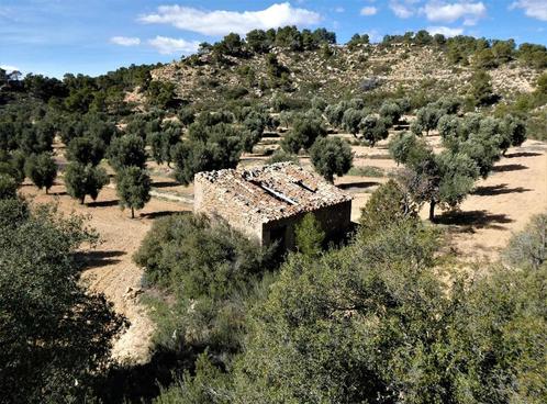 Finca in Maella (Aragon, Spanje) - 0882, Immo, Buitenland, Spanje, Overige soorten, Landelijk