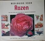 Beeldgids voor Rozen - Stap voor stap kweken en arrangeren, Enlèvement ou Envoi, John Mattock, Comme neuf, Autres sujets/thèmes