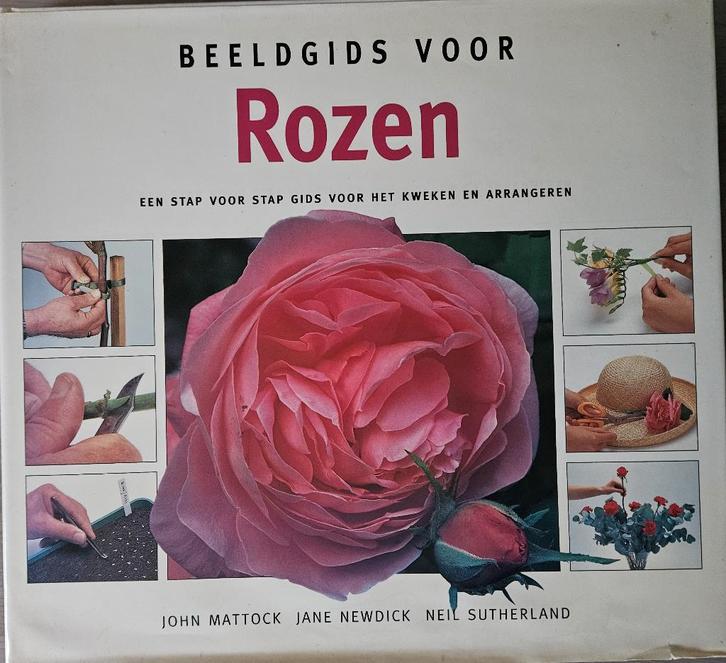 Beeldgids voor Rozen - Stap voor stap kweken en arrangeren, Boeken, Hobby en Vrije tijd, Zo goed als nieuw, Overige onderwerpen
