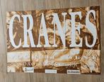 Concert poster Cranes Vooruit Gent, Ophalen of Verzenden