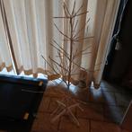 Witte kerstboom, Ophalen