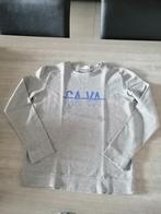 grijze sweater JBC mt 164, Kinderen en Baby's, Kinderkleding | Maat 164, Ophalen, Gebruikt, Trui of Vest, JBC
