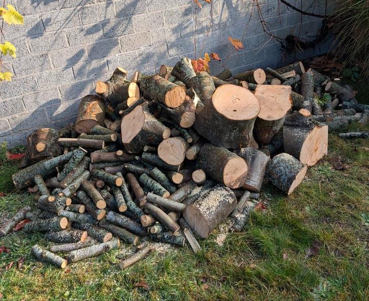 Houtblokken Esdoorn – €65, Tuin en Terras, Grind, Keien en Split, Ophalen