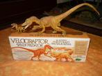 Velociraptor Safary authentic museum quality lim.ed., Collections, Collections Animaux, Envoi, Neuf, Autres, Autres types