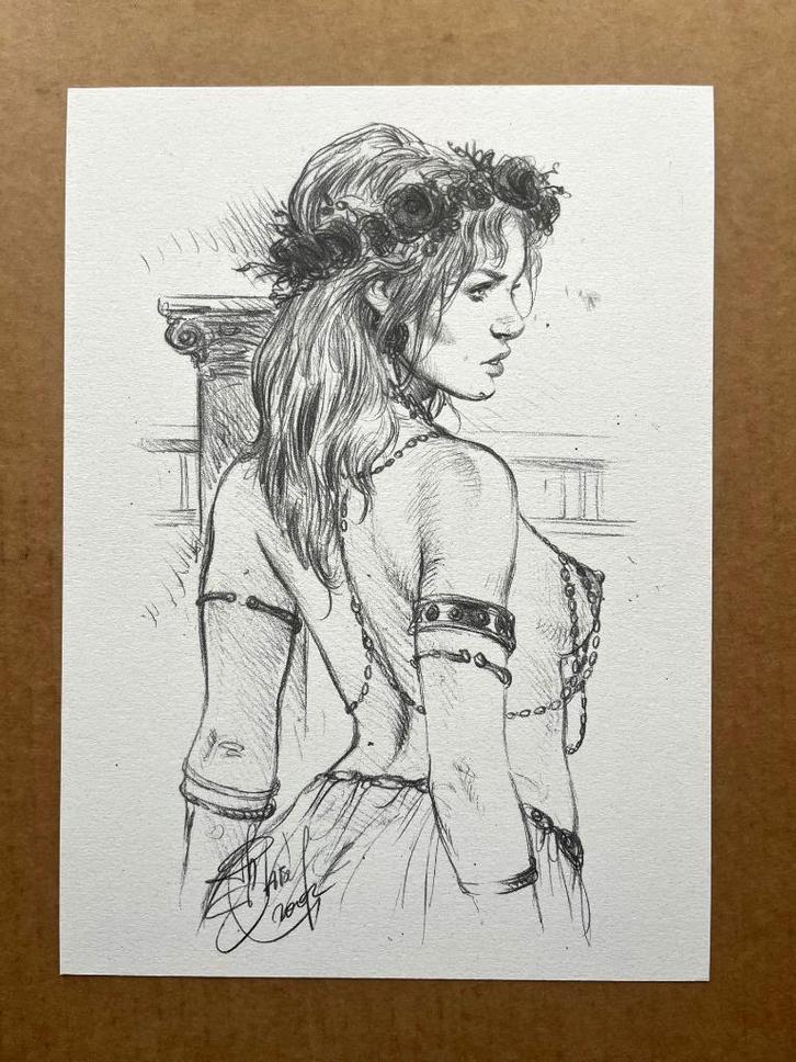 Murena - Illustration - Les chainettes - Silhouet - Delaby, Boeken, Stripverhalen, Verzenden