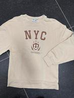 Beige sweater Awesome 164, Kinderen en Baby's, Kinderkleding | Maat 164, Gebruikt, Meisje, Trui of Vest, Awesome by Someone