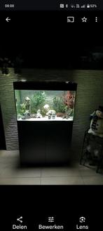 Zeer mooi aquarium, Ophalen, Zo goed als nieuw