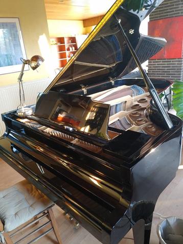 Piano à queue KAWAI, Brillant, Enlèvement, Utilisé, À queue