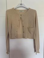 Blue bay goudkleurige gilet maat 140, Kinderen en Baby's, Kinderkleding | Maat 140, Ophalen of Verzenden, Zo goed als nieuw