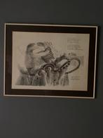 Litho ets Dees de bruyne - van Daele, Antiek en Kunst, Ophalen