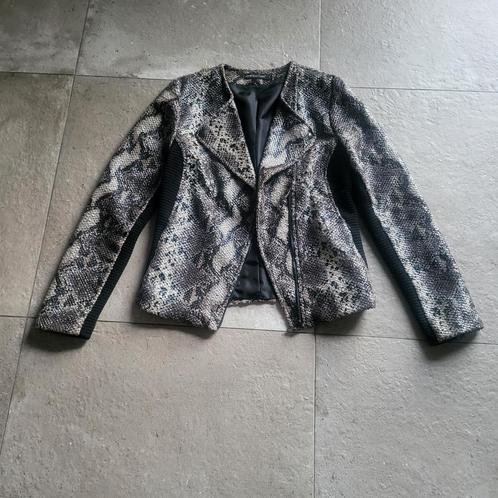 Astrid Black Label., Kleding | Dames, Jassen | Winter, Gedragen, Ophalen of Verzenden