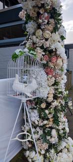 Echte Huwelijks duiven / bruidsduiven