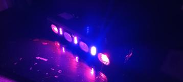 RGB Party Lights   FREE beschikbaar voor biedingen