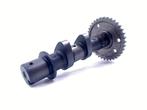 NOKKENAS Suzuki SFV 650 Gladius (01-2000/-) (12710-44H00), Motoren, Gebruikt