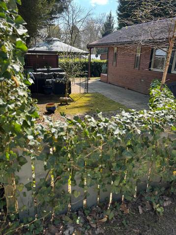 Chalet te koop beschikbaar voor biedingen
