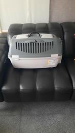 Reismand hond of kat, Dieren en Toebehoren, Ophalen