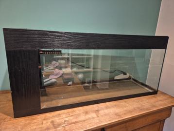 Aquarium te koop beschikbaar voor biedingen