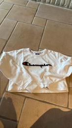 Champions maat xs, Ophalen of Verzenden, Zo goed als nieuw, Maat 34 (XS) of kleiner