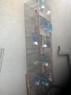 5 Parva Chant Widani, Dieren en Toebehoren, Vogels | Overige Vogels