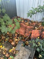 Dakpannen in goede staat, Doe-het-zelf en Bouw, Dakpannen en Dakbedekking, Ophalen, Zo goed als nieuw, Dakpannen