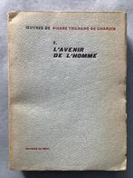 L'Avenir de l'Homme - Pierre Teilhard de Chardin, Enlèvement ou Envoi