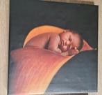 Canvas Anne Geddes gumtree, Huis en Inrichting, Woonaccessoires | Lijsten, Ophalen of Verzenden, Zo goed als nieuw