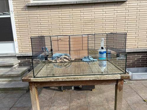 Knaagdier terrarium, Dieren en Toebehoren, Knaagdieren, Meerdere dieren, Hamster