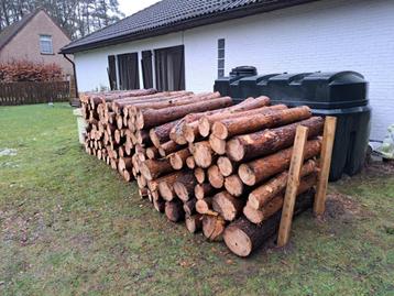 brandhout den spar  beschikbaar voor biedingen