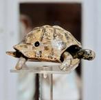 Tortue automate Roullett & Decamps, Antiquités & Art, Antiquités | Jouets, Enlèvement